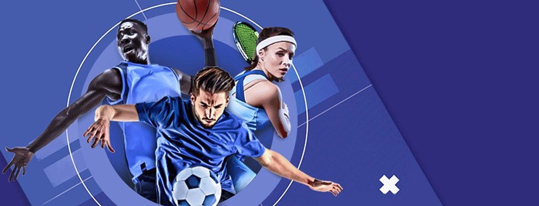 PlayinExchange official gaming and betting platform interface